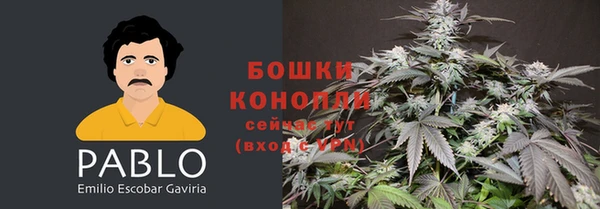 прущие крисы Нефтегорск