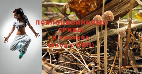 прущий лед Армянск