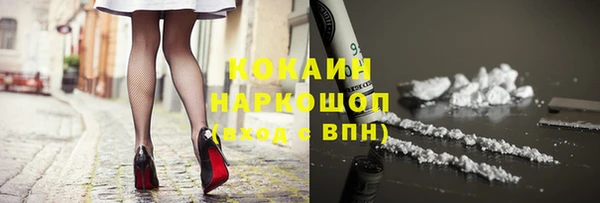 дживик Арсеньев