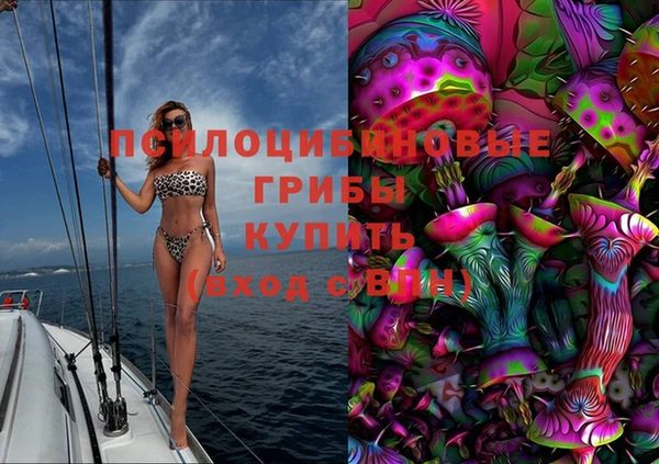 прущая мука Алзамай