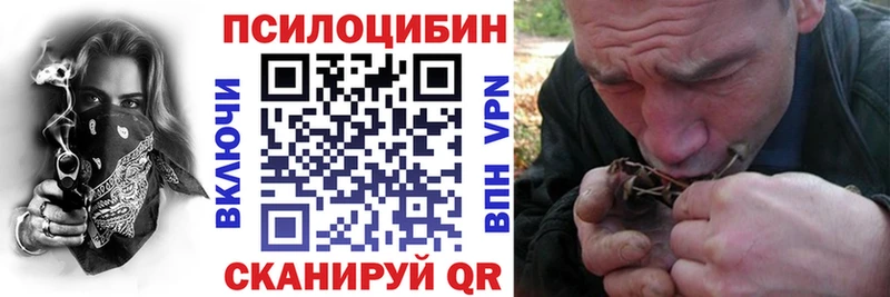 Галлюциногенные грибы Cubensis  дарк нет телеграм  Светлоград 